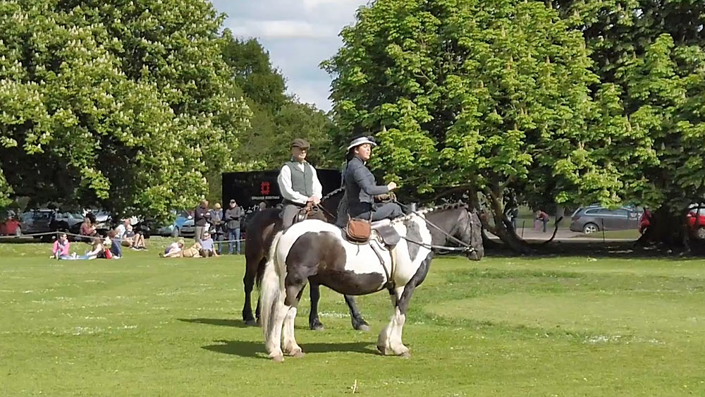Audley End falconry from horseback