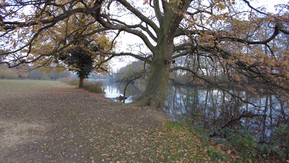Osterley Park lake