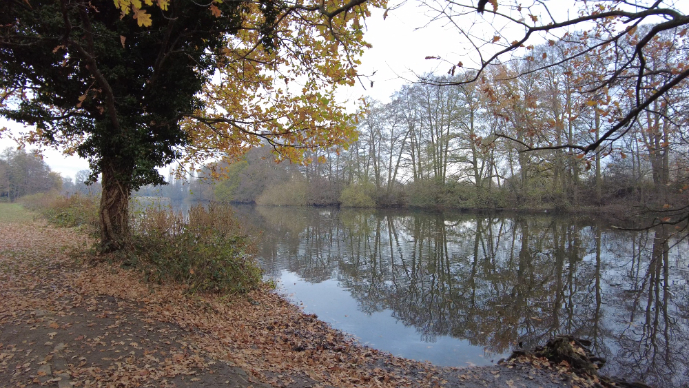 Osterley Park lake