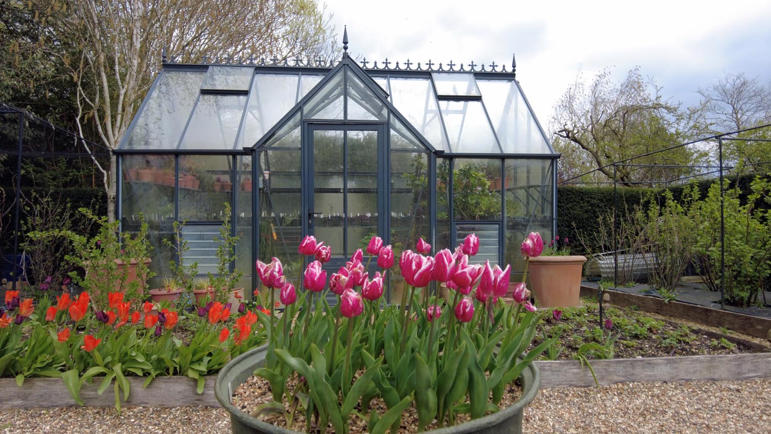 Theobalds Farmhouse Garden, Enfield At Tulip Time